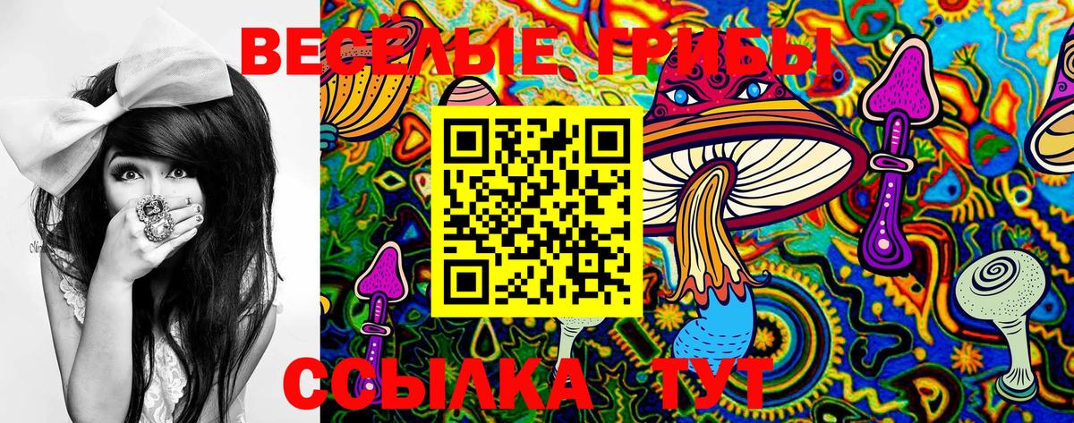 Переславль-Залесский  где купить наркоту  Псилоцибиновые грибы MAGIC MUSHROOMS  Вход с VPN  Псилоцибиновые грибы мухоморы 